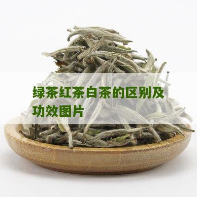 绿茶红茶白茶的区别及功效图片