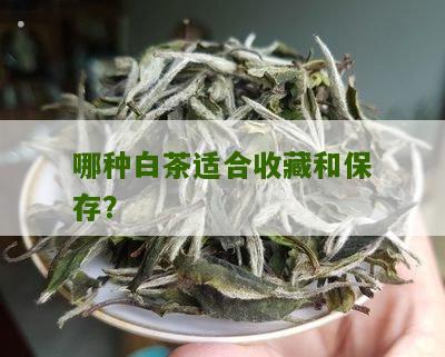 哪种白茶适合收藏和保存？