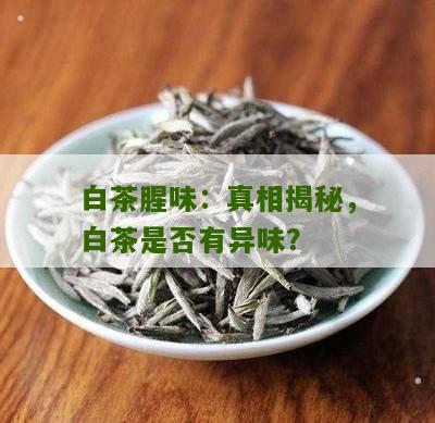 白茶腥味：真相揭秘，白茶是否有异味？