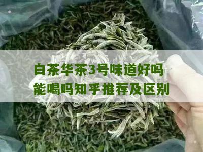 白茶华茶3号味道好吗能喝吗知乎推荐及区别