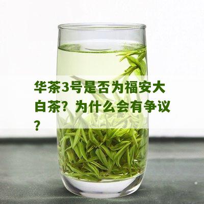 华茶3号是否为福安大白茶？为什么会有争议？