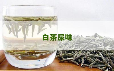 白茶尿味