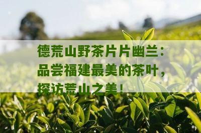 德荒山野茶片片幽兰：品尝福建最美的茶叶，探访荒山之美！