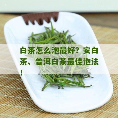 白茶怎么泡最好？安白茶、普洱白茶最佳泡法！