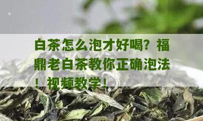 白茶怎么泡才好喝？福鼎老白茶教你正确泡法！视频教学！