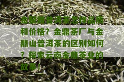 金聚鼎普洱茶怎样品质和价格？金鼎茶厂与金鼎山普洱茶的区别如何？探索云南金鼎茶业的故事！