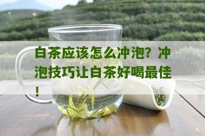 白茶应该怎么冲泡？冲泡技巧让白茶好喝最佳！