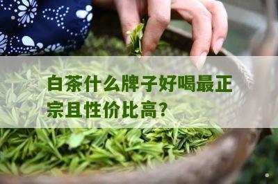 白茶什么牌子好喝最正宗且性价比高？