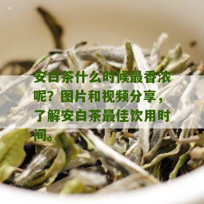 安白茶什么时候最香浓呢？图片和视频分享，了解安白茶最佳饮用时间。