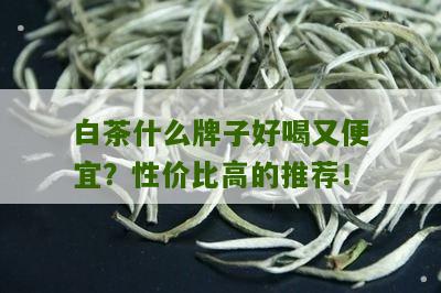 白茶什么牌子好喝又便宜？性价比高的推荐！