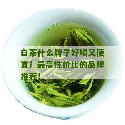 白茶什么牌子好喝又便宜？最高性价比的品牌推荐！