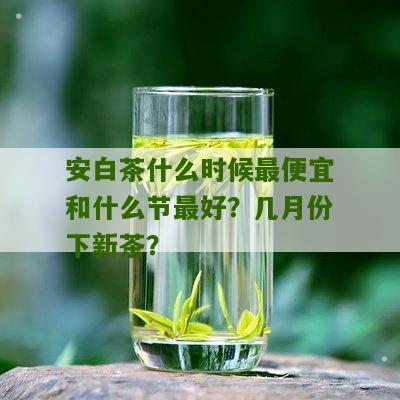 安白茶什么时候最便宜和什么节最好？几月份下新茶？