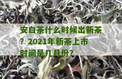 安白茶什么时候出新茶？2021年新茶上市时间是几月份？