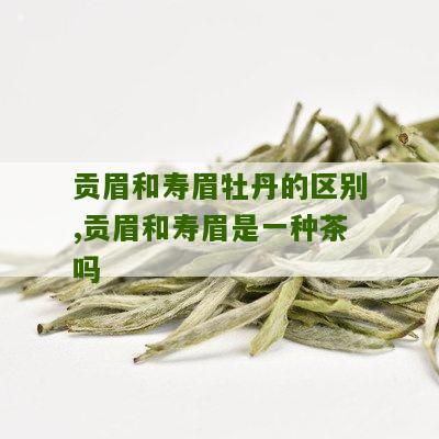 贡眉和寿眉牡丹的区别,贡眉和寿眉是一种茶吗