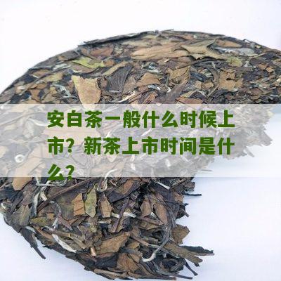 安白茶一般什么时候上市？新茶上市时间是什么？