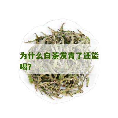 为什么白茶发青了还能喝？