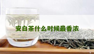 安白茶什么时候最香浓