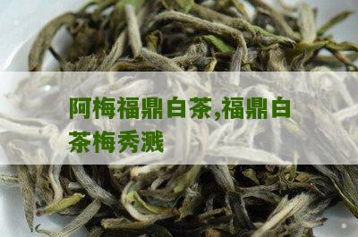 阿梅福鼎白茶,福鼎白茶梅秀溅