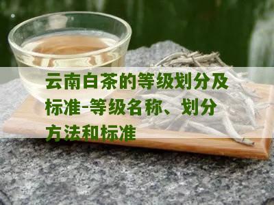 云南白茶的等级划分及标准-等级名称、划分方法和标准