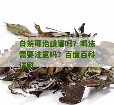 白茶可治感冒吗？喝法需要注意吗？百度百科详解