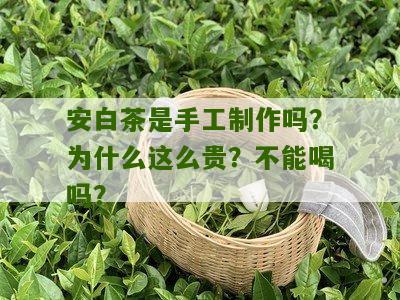 安白茶是手工制作吗？为什么这么贵？不能喝吗？