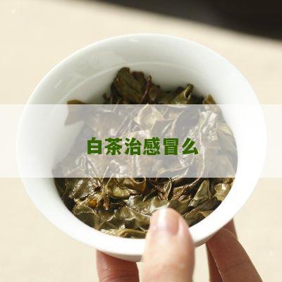 白茶治感冒么