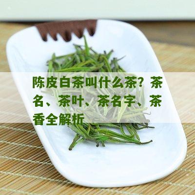 陈皮白茶叫什么茶？茶名、茶叶、茶名字、茶香全解析