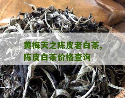 黄梅天之陈皮老白茶,陈皮白茶价格查询