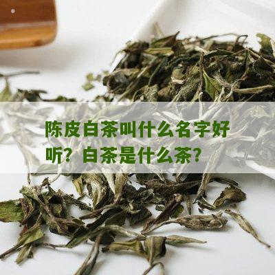 陈皮白茶叫什么名字好听？白茶是什么茶？