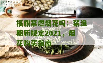 福鼎禁燃烟花吗：禁渔期新规定2021，烟花购买指南