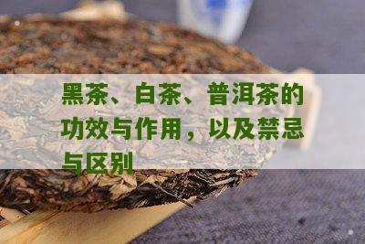 黑茶、白茶、普洱茶的功效与作用，以及禁忌与区别