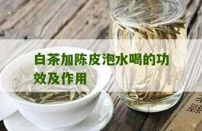 白茶加陈皮泡水喝的功效及作用