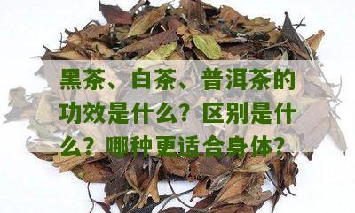 黑茶、白茶、普洱茶的功效是什么？区别是什么？哪种更适合身体？