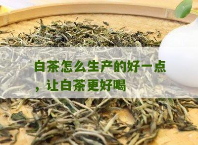 白茶怎么生产的好一点，让白茶更好喝