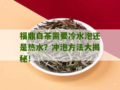 福鼎白茶需要冷水泡还是热水？冲泡方法大揭秘！