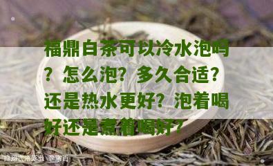 福鼎白茶可以冷水泡吗？怎么泡？多久合适？还是热水更好？泡着喝好还是煮着喝好？