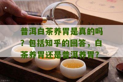 普洱白茶养胃是真的吗？包括知乎的回答，白茶养胃还是普洱养胃？