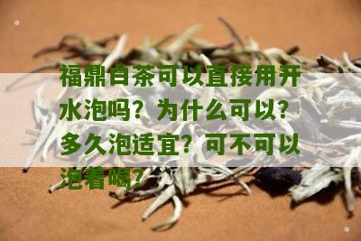 福鼎白茶可以直接用开水泡吗？为什么可以？多久泡适宜？可不可以泡着喝？