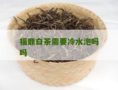 福鼎白茶需要冷水泡吗吗