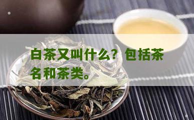 白茶又叫什么？包括茶名和茶类。