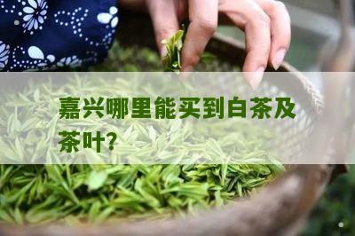 嘉兴哪里能买到白茶及茶叶？