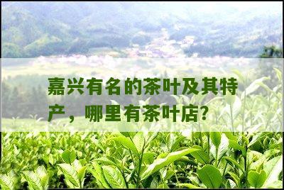 嘉兴有名的茶叶及其特产，哪里有茶叶店？