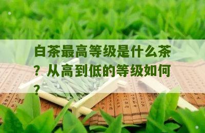 白茶最高等级是什么茶？从高到低的等级如何？