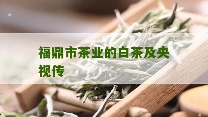 福鼎市茶业的白茶及央视传