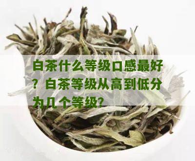 白茶什么等级口感最好？白茶等级从高到低分为几个等级？