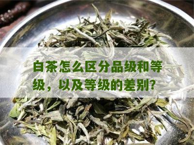 白茶怎么区分品级和等级，以及等级的差别？