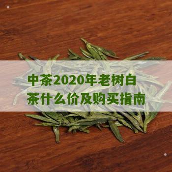 中茶2020年老树白茶什么价及购买指南