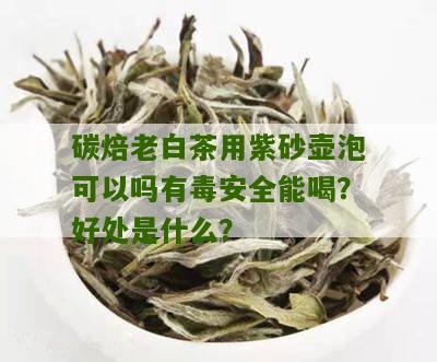 碳焙老白茶用紫砂壶泡可以吗有毒安全能喝？好处是什么？