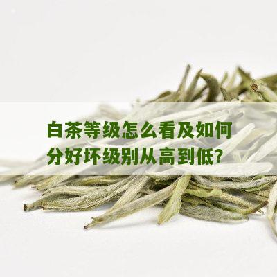 白茶等级怎么看及如何分好坏级别从高到低？