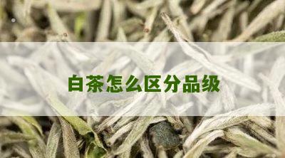 白茶怎么区分品级